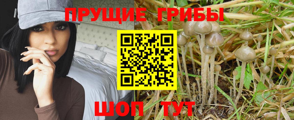 закладки  Галлюциногенные грибы Psilocybe  Обь  Вход с VPN  Галлюциногенные грибы MAGIC MUSHROOMS 