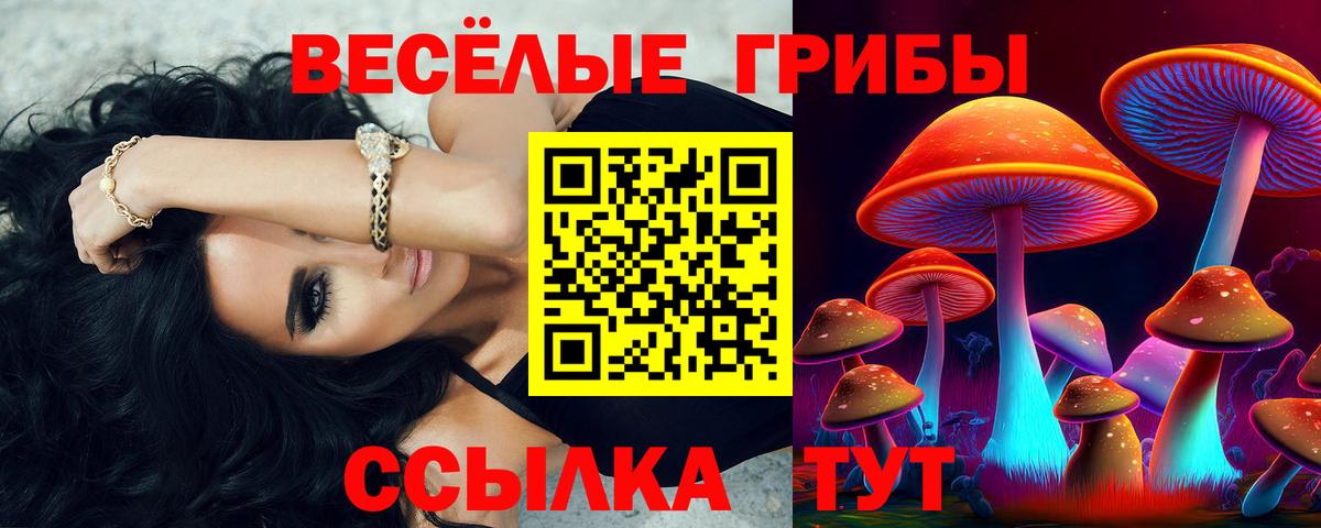 Псилоцибиновые грибы Psilocybine cubensis Обь